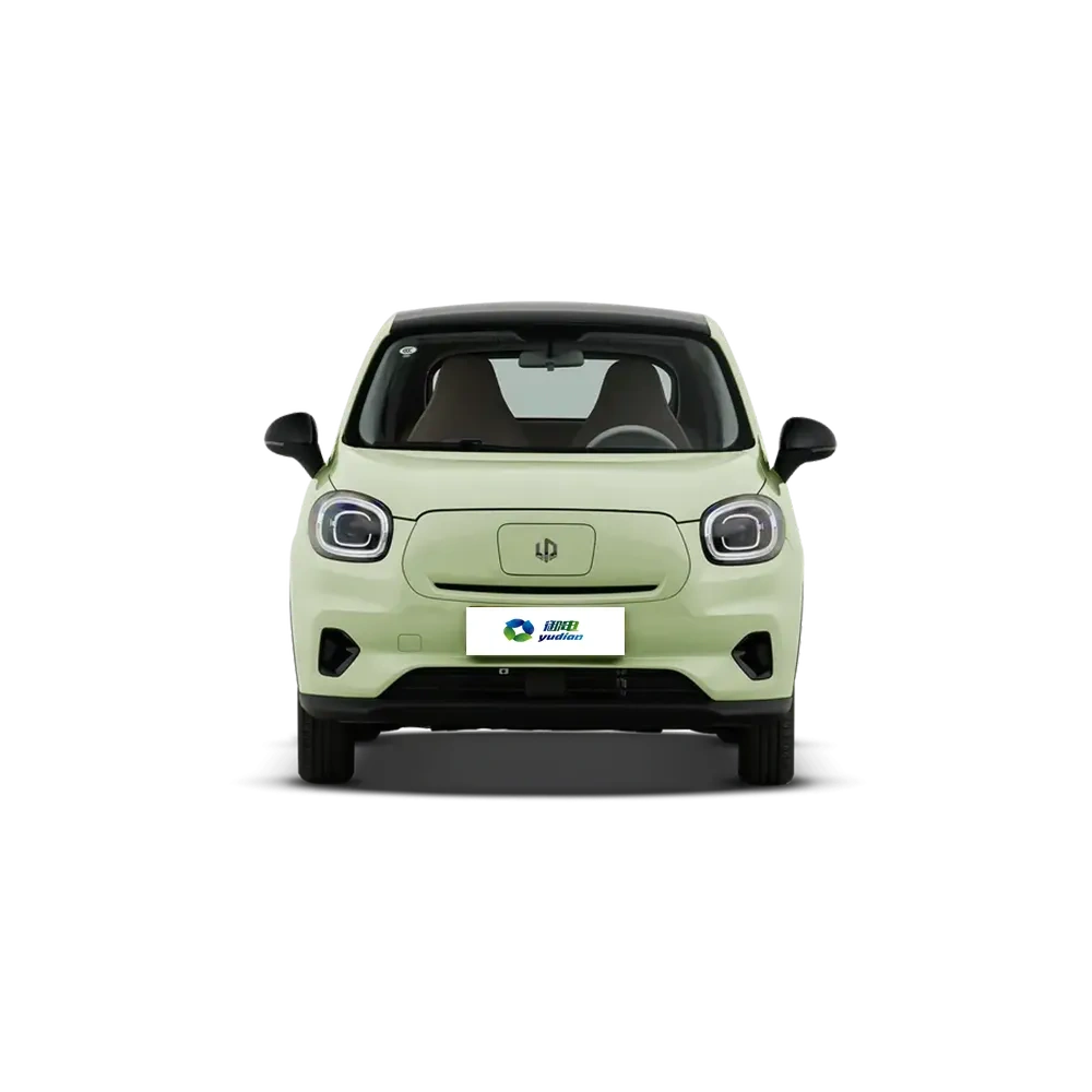 Leapmotor T03,YDchinauto
