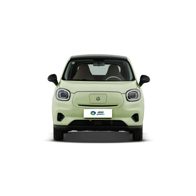 Leapmotor T03,YDchinauto