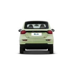 Leapmotor T03,YDchinauto