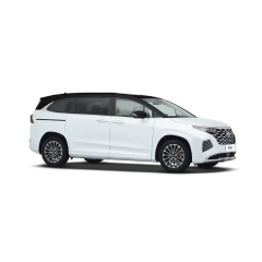 Hyundai Custo,YDchinauto