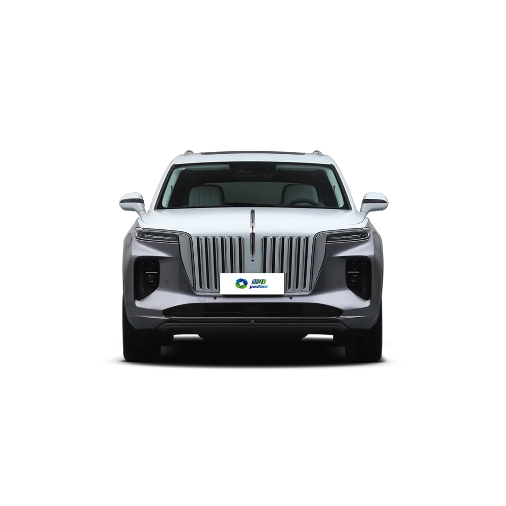 HONGQI E-HS9,YDchinauto