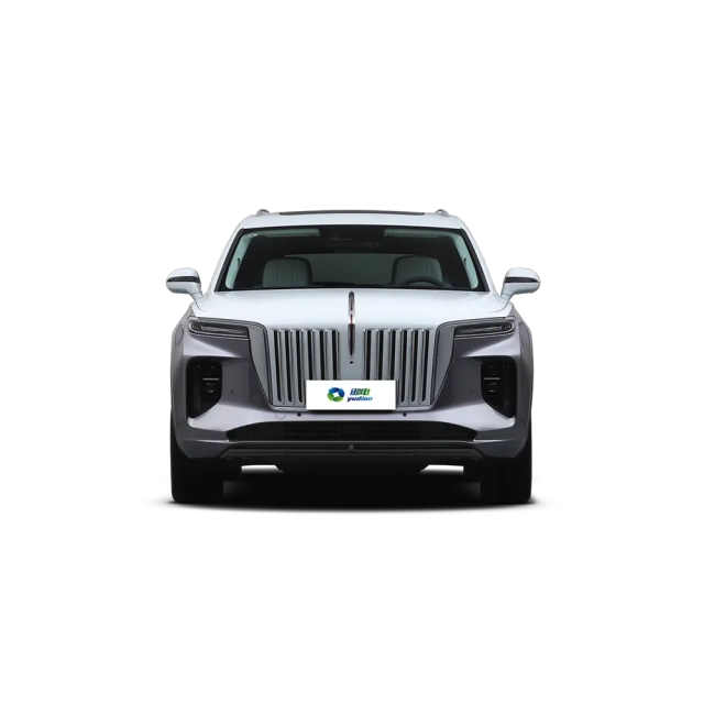 HONGQI E-HS9,YDchinauto