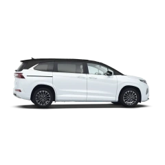 Hyundai Custo,YDchinauto