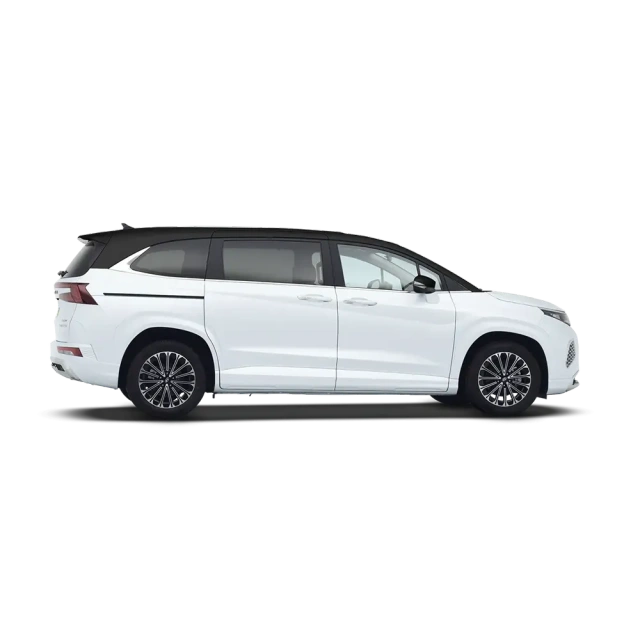 Hyundai Custo,YDchinauto