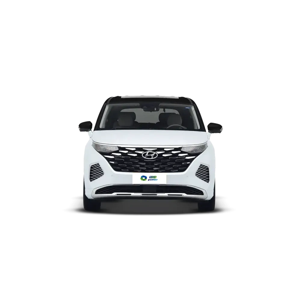 Hyundai Custo,YDchinauto