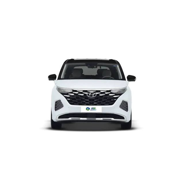 Hyundai Custo,YDchinauto