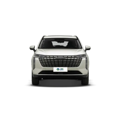 Haval H6,YDchinauto