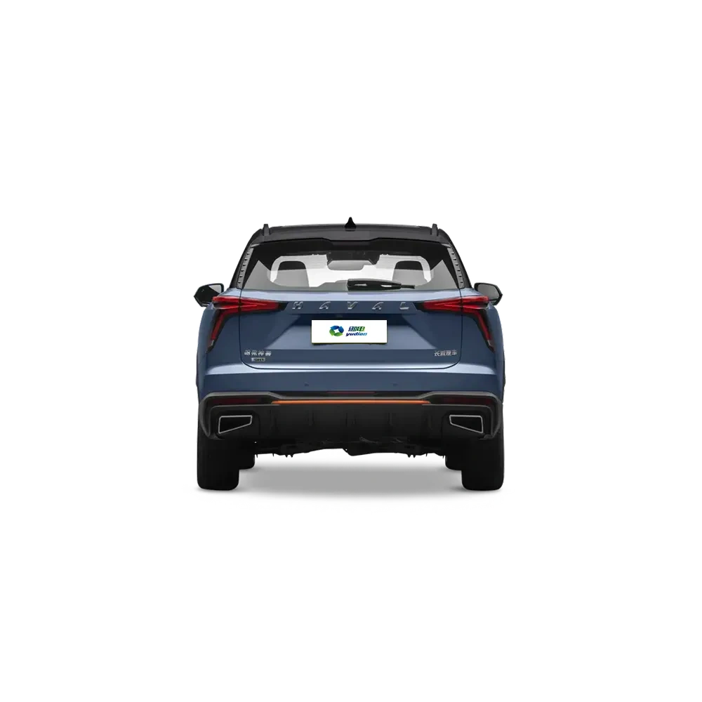 Haval Shenshou,YDchinauto