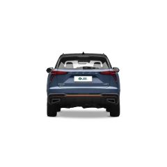 Haval Shenshou,YDchinauto