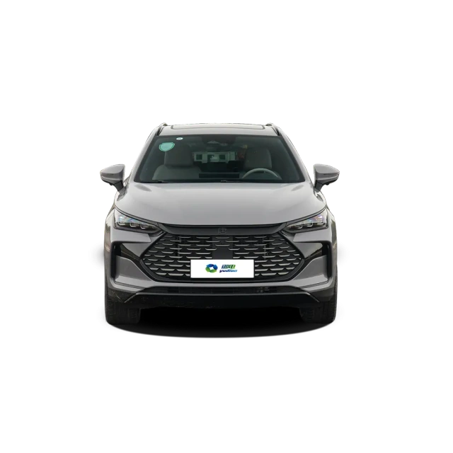 BYD Tang Dm-i,YDchinauto