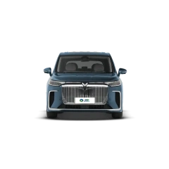 Voyah Dreamer,YDchinauto