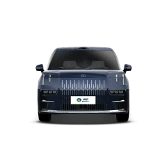 ZEEKR 009,YDchinauto