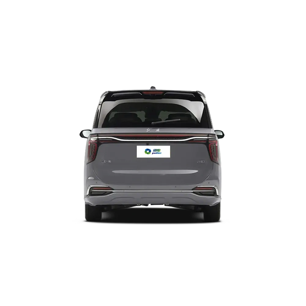 HONGQI HQ9,YDchinauto