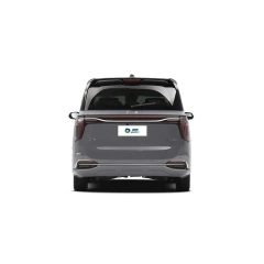 HONGQI HQ9,YDchinauto