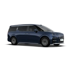 ZEEKR 009,YDchinauto