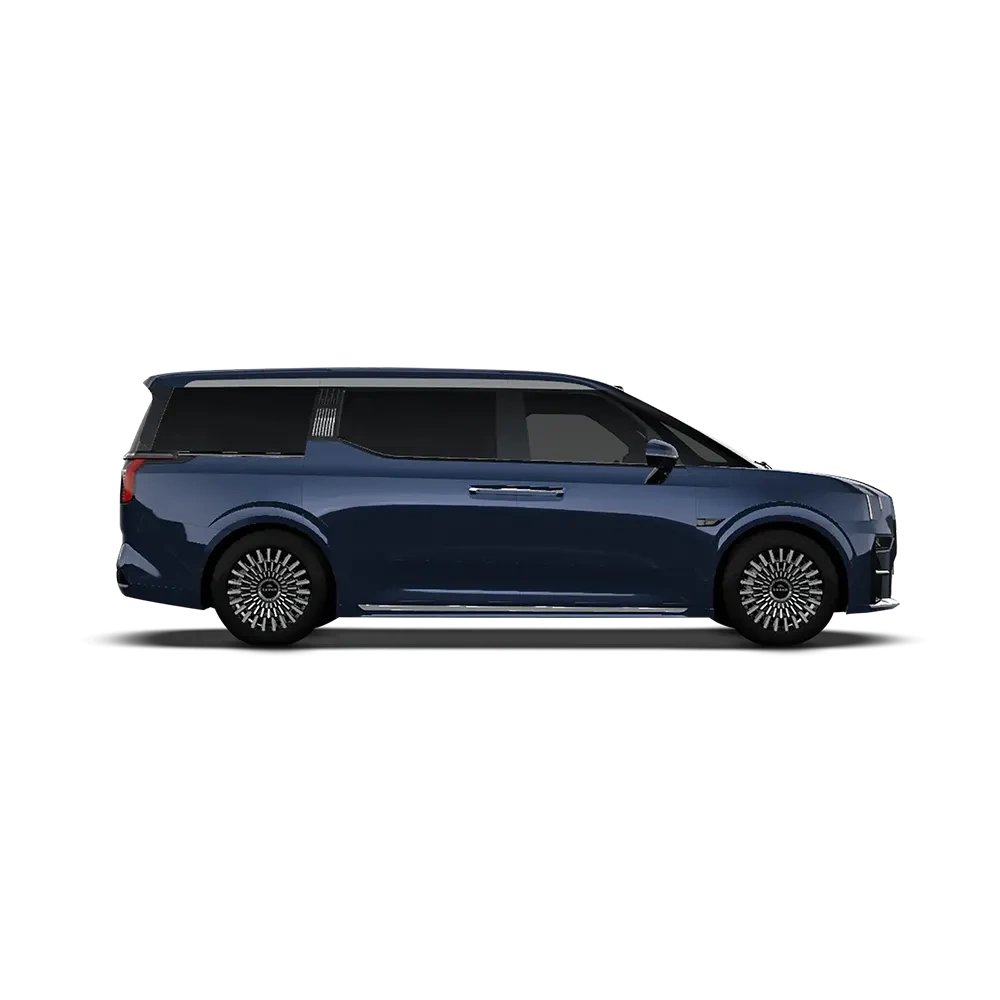 ZEEKR 009,YDchinauto