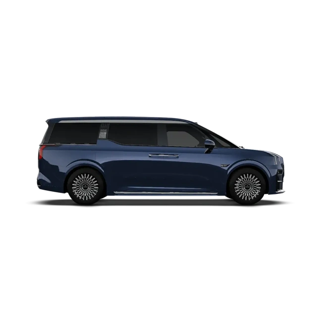ZEEKR 009,YDchinauto