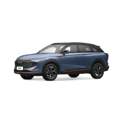 Haval Shenshou,YDchinauto