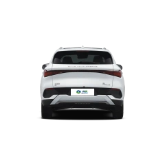 BYD Yuan Plus,YDchinauto