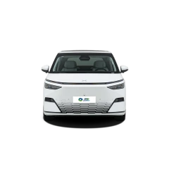 Xpeng X9,YDchinauto