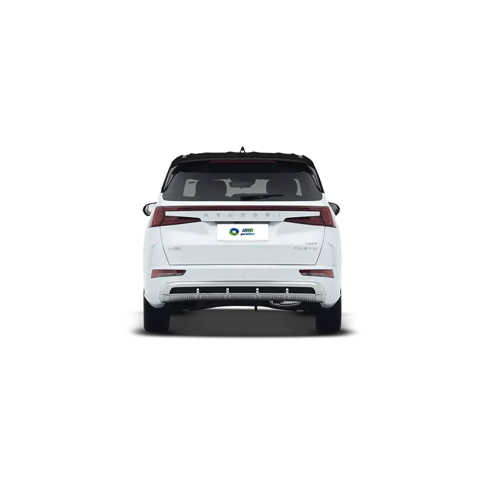 Hyundai Custo,YDchinauto