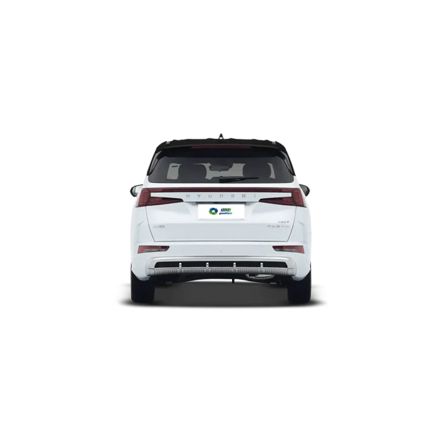 Hyundai Custo,YDchinauto