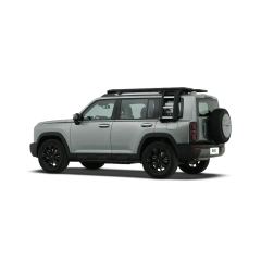 Haval Raptor,YDchinauto