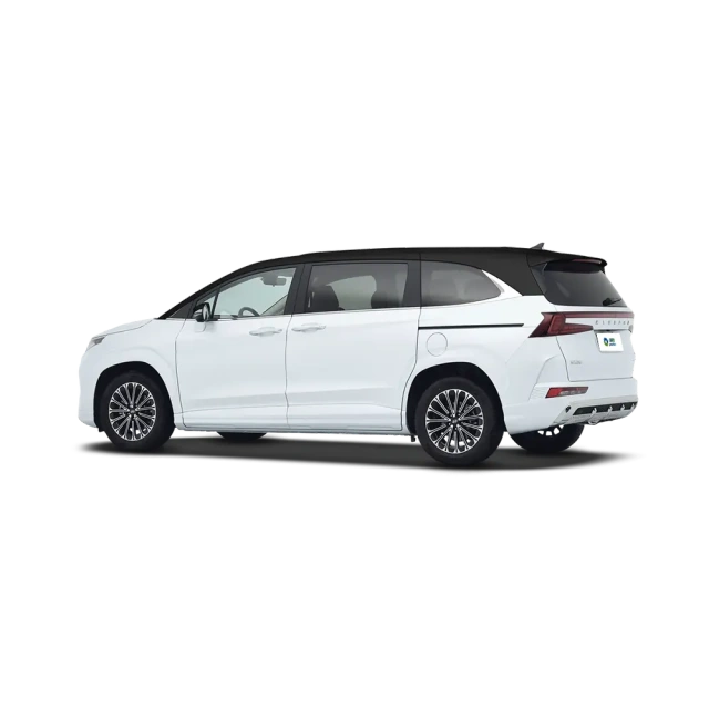 Hyundai Custo,YDchinauto
