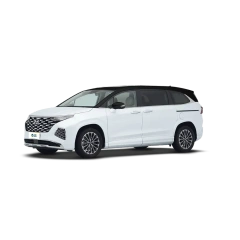 Hyundai Custo,YDchinauto