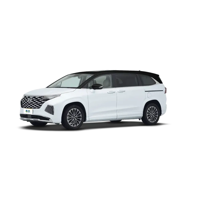 Hyundai Custo,YDchinauto
