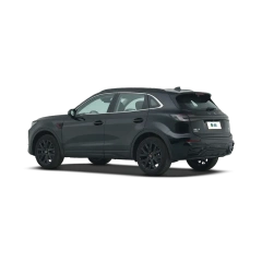HONGQI HS5,YDchinauto