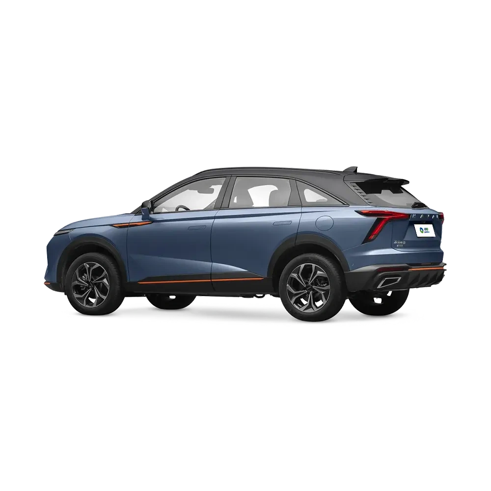 Haval Shenshou,YDchinauto