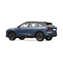 Haval Shenshou,YDchinauto