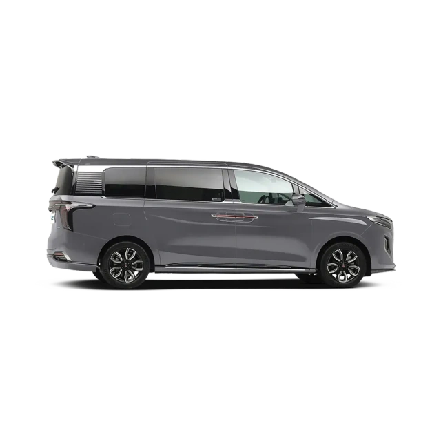 HONGQI HQ9,YDchinauto