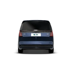 ZEEKR 009,YDchinauto