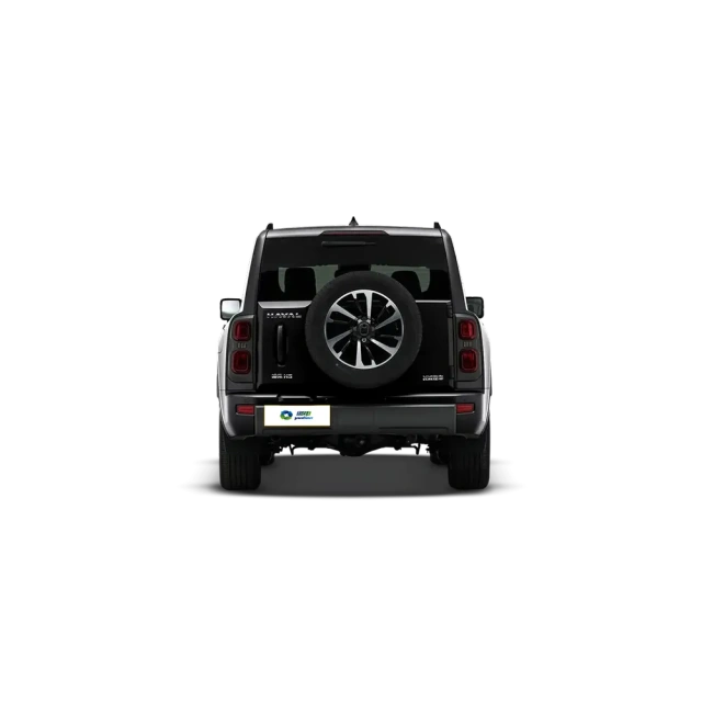 Haval H9,YDchinauto