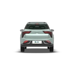 NETA V,YDchinauto