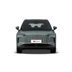 Hongqi HS6 PHEV,YDchinauto