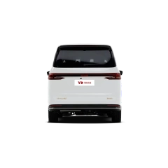 BAW Ruisheng M8,YDchinauto