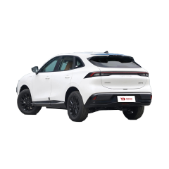 Forthing Xinghai T5,YDchinauto