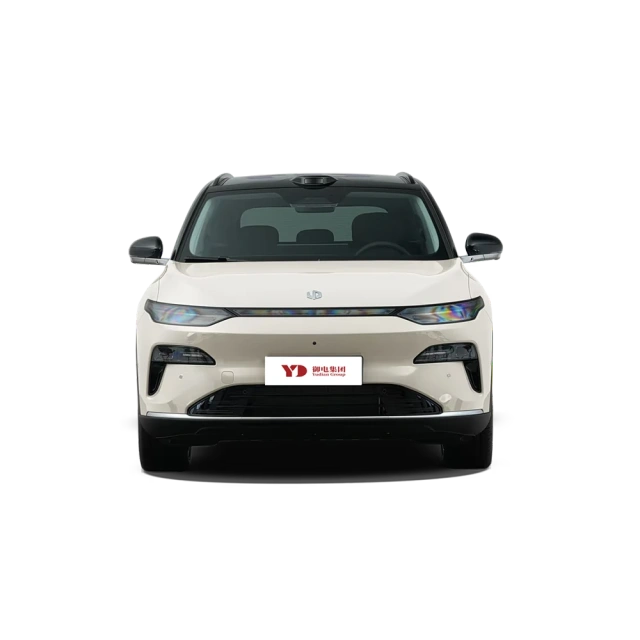 Leapmotor C11,YDchinauto