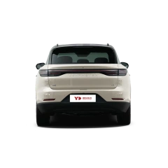 Leapmotor C11,YDchinauto