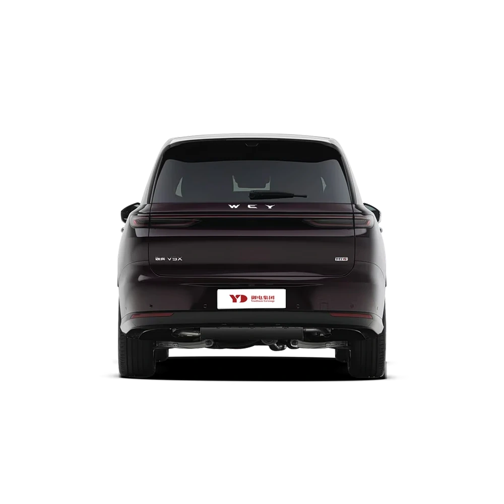 WEY V9X,YDchinauto