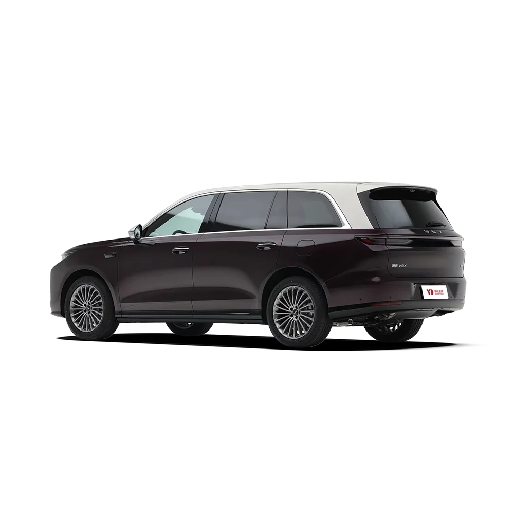 WEY V9X,YDchinauto