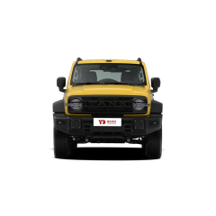 GWM TANK 300L,YDchinauto