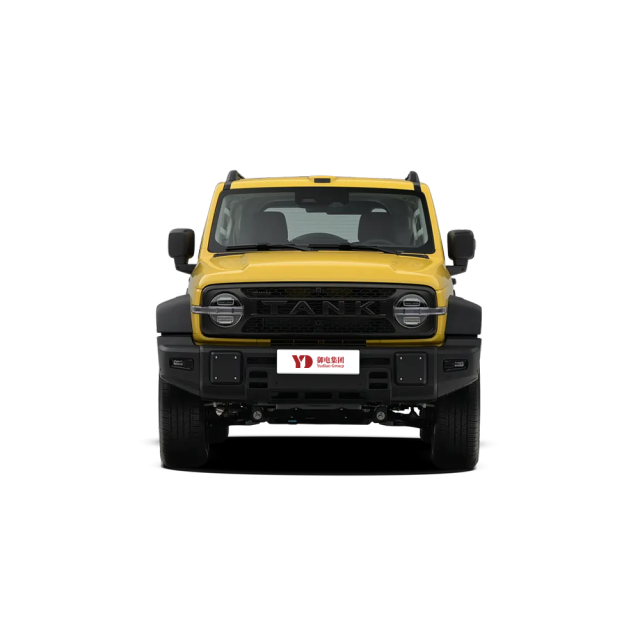 GWM TANK 300L,YDchinauto