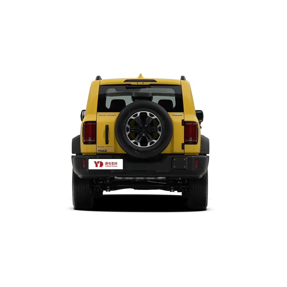 GWM TANK 300L,YDchinauto