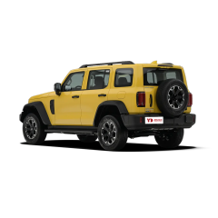 GWM TANK 300L,YDchinauto