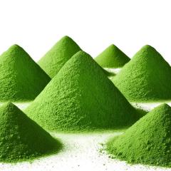 Top Matcha,Jiueco -- Global B2B Matcha Manufacturer from China,Trusted by leading food & beverage brands worldwide,Top Matcha