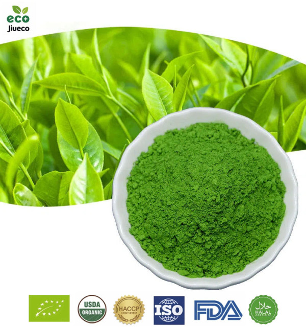 Culinary Grade Matcha,Jiueco -- Global B2B Matcha Manufacturer from China,Trusted by leading food & beverage brands worldwide,Culinary Grade Matcha
